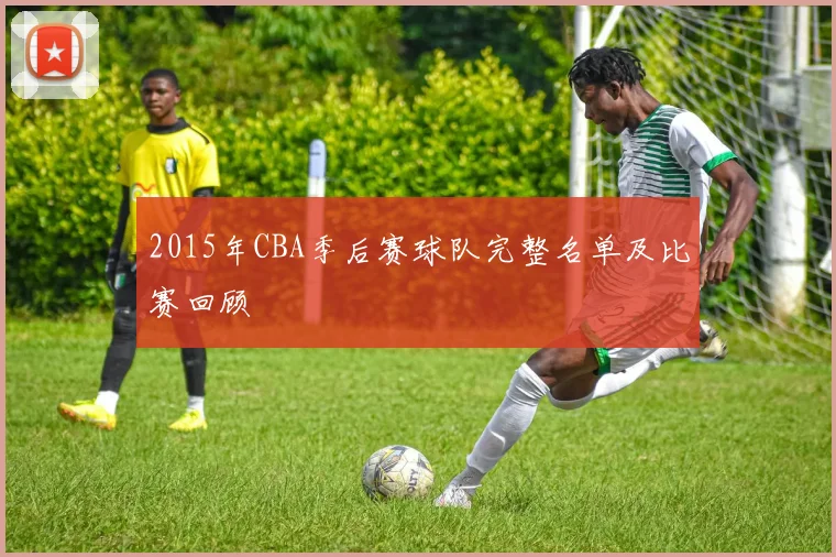 2015年CBA季后赛球队完整名单及比赛回顾