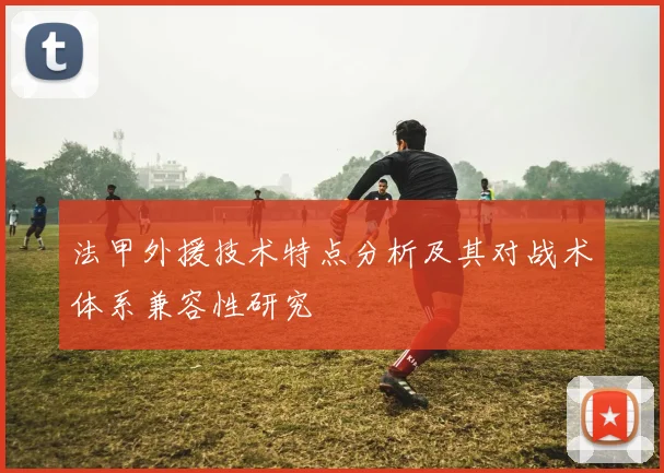 法甲外援技术特点分析及其对战术体系兼容性研究