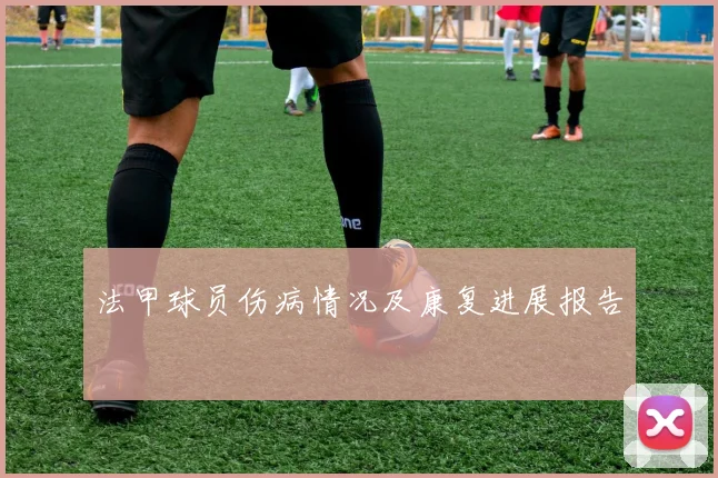 法甲球员伤病情况及康复进展报告