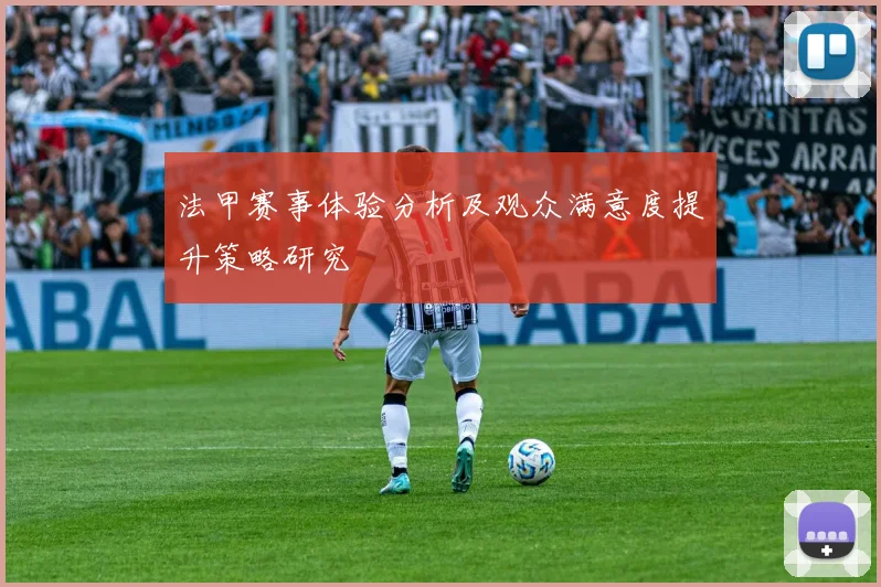 法甲赛事体验分析及观众满意度提升策略研究