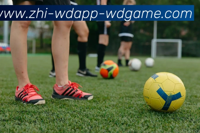 多媒体互动体验