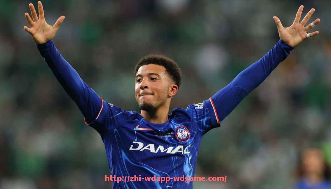 问鼎娱乐官网-德甲各球队顶薪球员收入榜单及合同分析